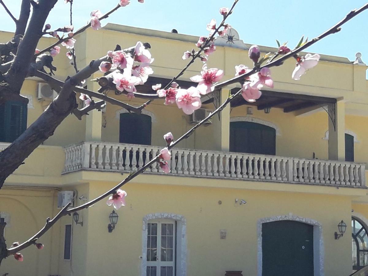 Agriturismo l' Annunziata Lizzano  Exterior foto